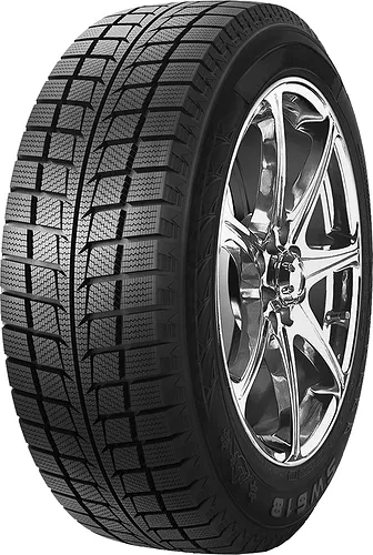 Goodride SW618 195/55 R16 91V