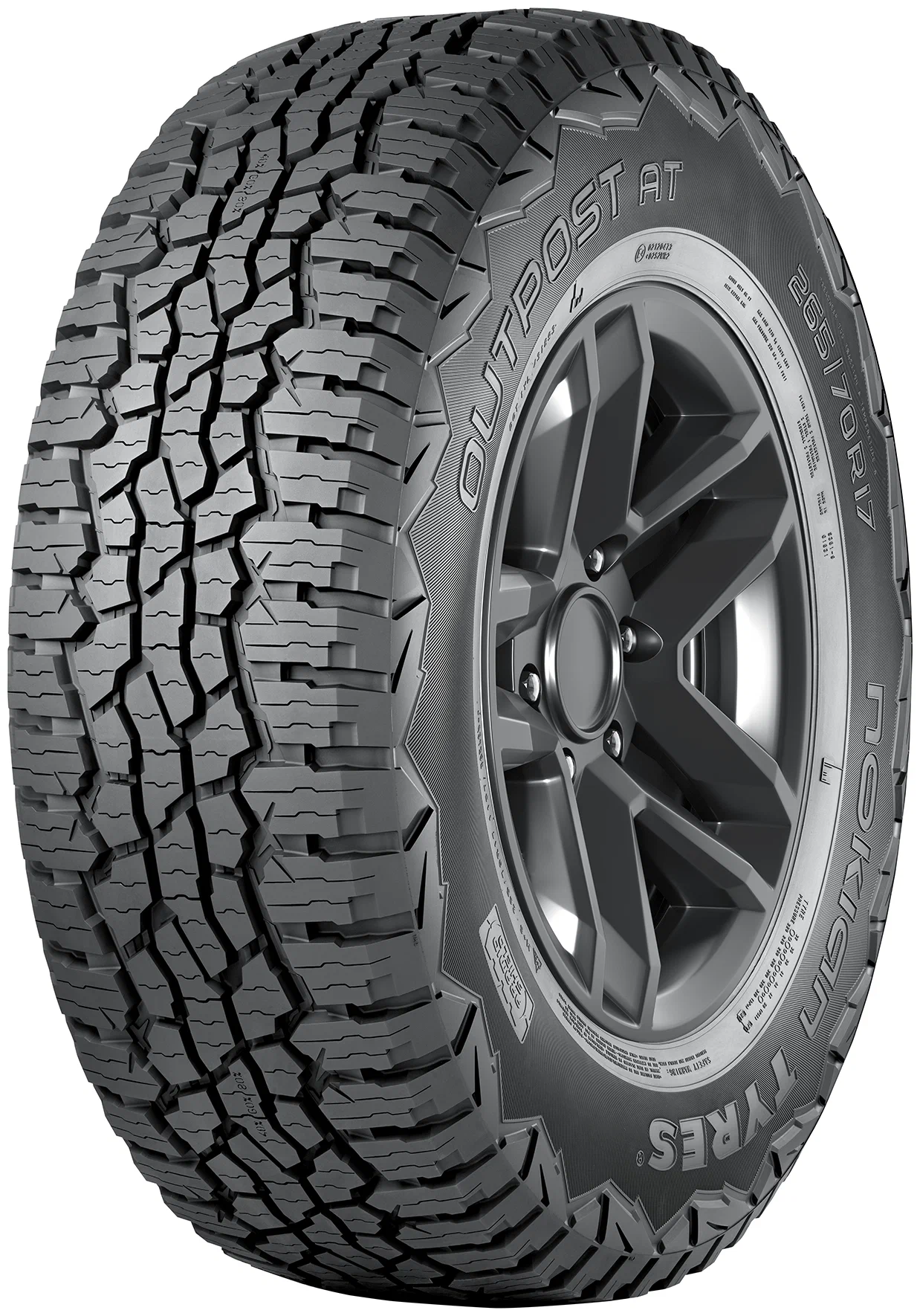 Nokian Tyres Outpost AT 245/65 R17 107T