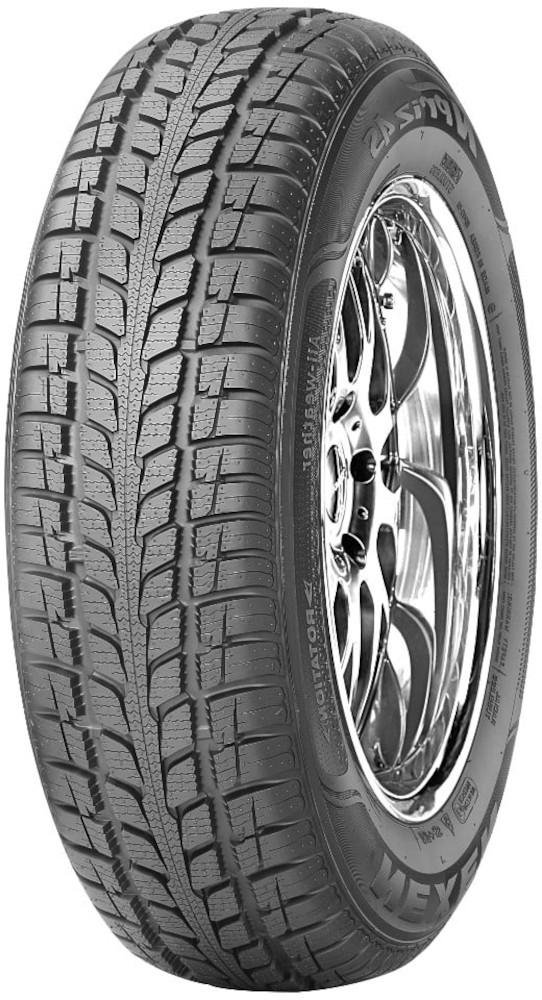 Роудстоун NPriz 4S 205/60 R15 91H